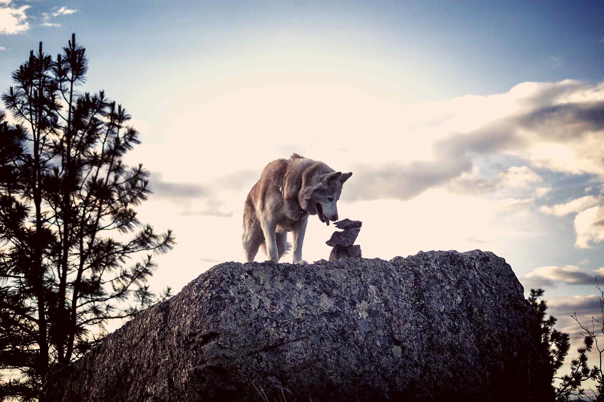 Zwergenkind Zwergenkind